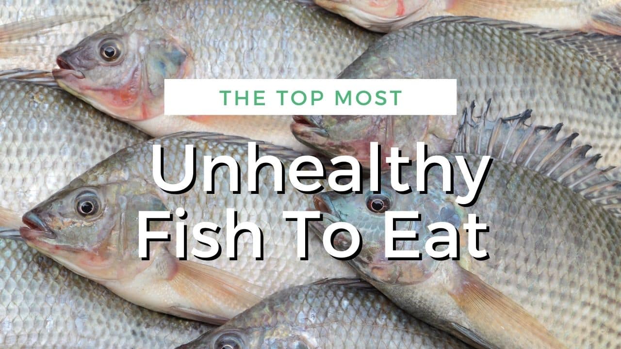 Fish' or 'Fishes'? - Quick and Dirty Tips