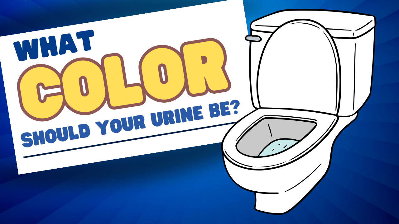 GOOD on X: What color should your pee be? A handy guide.