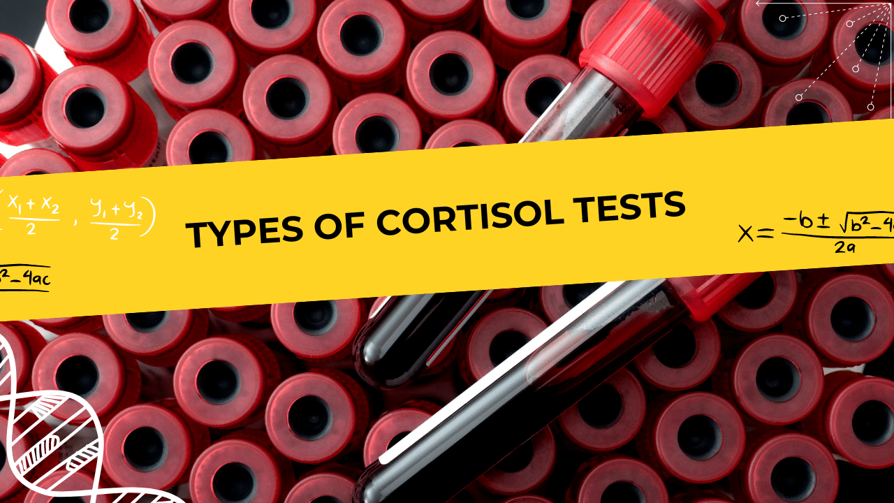 The Cortisol Blood Test: A Comprehensive Guide - Walkin Lab